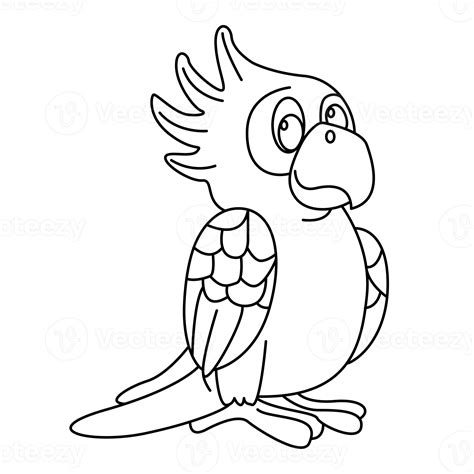 Parrot Outline Vector Cartoon Design On Transparent Background 9377810 PNG