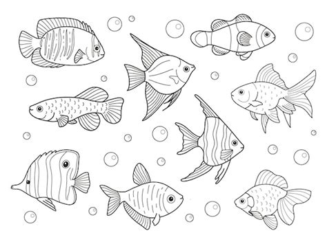 Dibujos De Peces Para Colorear Vector Premium