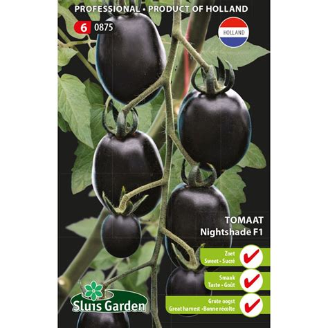 Tomate cerise Nightshade F1 Graines potagères