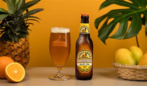 Ale Vs Lager Understanding The Basics Barahsinghe Beer