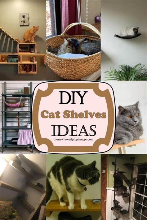 20 Diy Cat Shelves Ideas Mint Design Blog