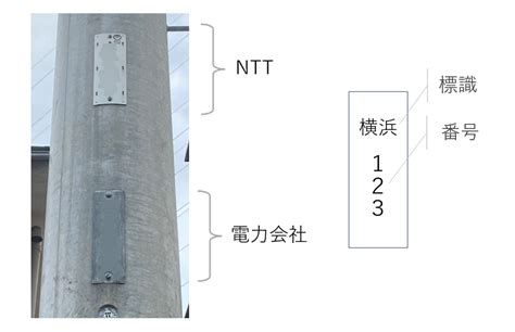 【鳥のフン対策】電線に「鳥よけワイヤー」を無料設置！電力会社やnttへの依頼方法。 Firstday Of My Life