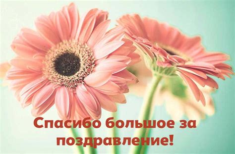 Картинки Спасибо - 53 красивых открыток бесплатно