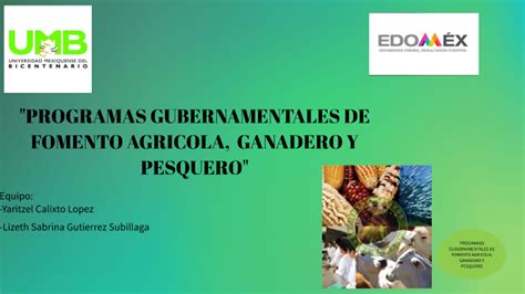 Programas Gubernamentales De Fomento Agricola Ganadero Y Pesquero By