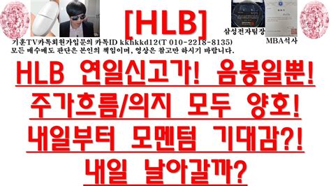 주식투자 Hlbhlb 연일신고가 음봉일뿐주가흐름의지 모두 양호내일부터 모멘텀 기대감내일 날아갈까 Youtube