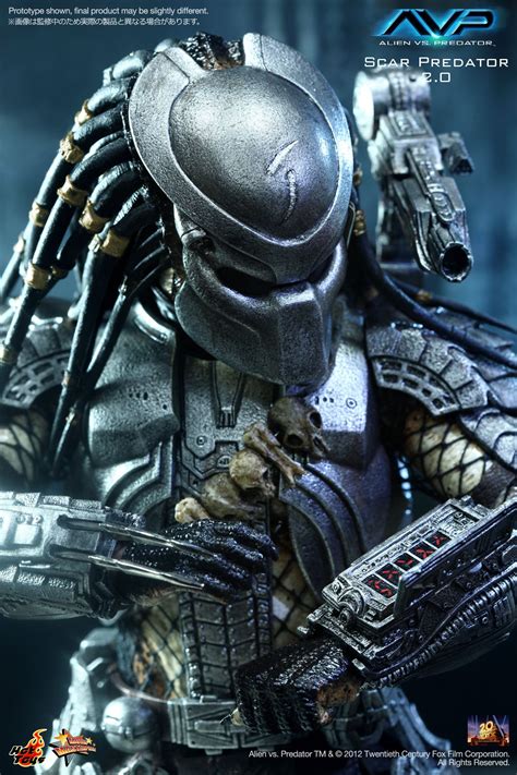 Predator Merchandise Collectibles Predator Stuff Artofit