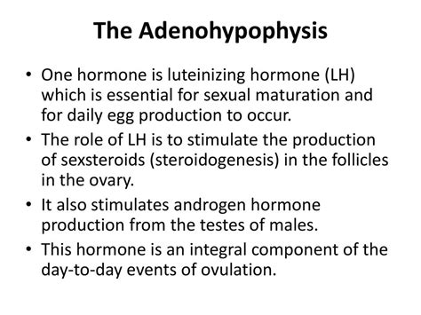 Reproduction In The Female Anatomy And Hormones Ppt Download