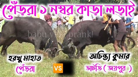 পেঁড়রা আসরে ১নং কাড়ার লড়াই Pendra Kara Ladai Kara Larai