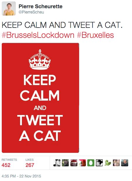 Keep Calm And Tweet A Cat Brusselslockdown Know Your Meme