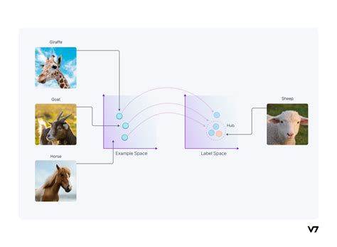 What Is Zero Shot Learning In Image Classification Examples