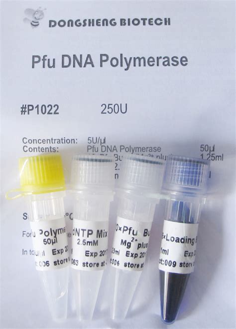 Pfu Taq Dna Polymerase Neotec Cbs