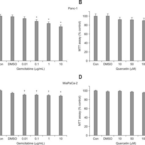 Induction Of Autophagy In Miapaca 2 Cells With Gemcitabine And