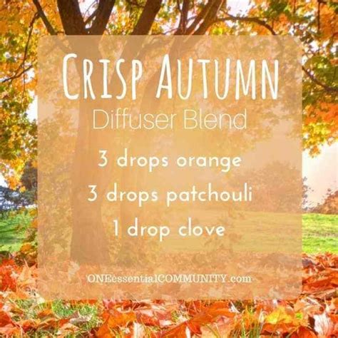 Best Fall Essential Oil Blends For Your Diffuser Free Printable Artofit