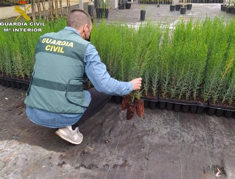 Detinguts dos homes per la seua presumpta implicació en el robatori de