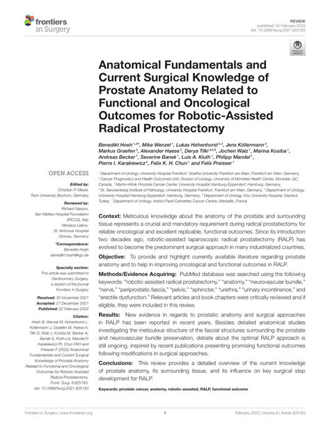 Pdf Anatomical Fundamentals And Current Surgical Knowledge Of