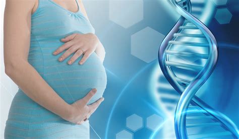 Test Di Paternit Prenatale Non Invasivo Nipt Dna Express