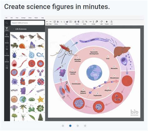 Create Professional Scientific Figures With BioRender Dana Health