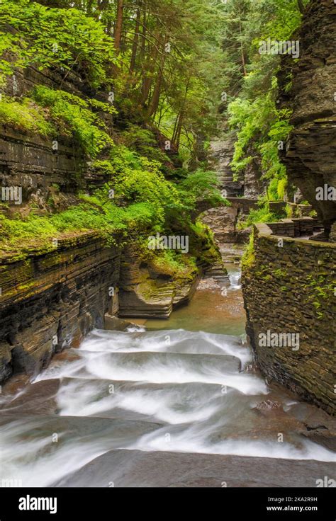 Numerous Falls And Riffels Occur In Taughannock Creek Gorge