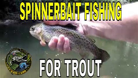 SPINNER FISHING FOR TROUT IN SMALL CREEKS YouTube