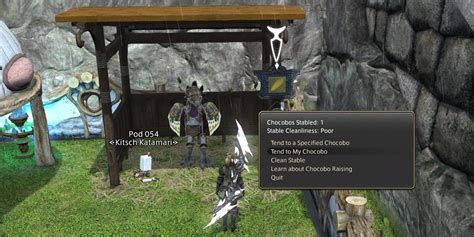 Final Fantasy 14 How To Change The Color Of Your Chocobo