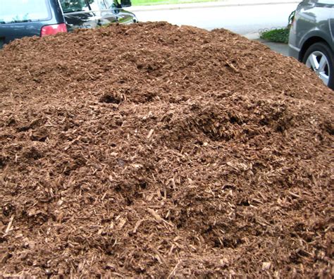 061610 75 Ze Big Mulch Pile Squashfold Flickr