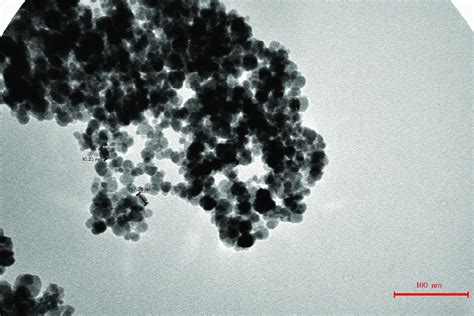 Tem Image Of Magnetite Nanoparticles Download Scientific Diagram