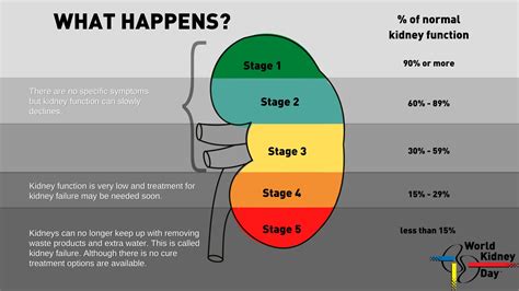 Kidney Disease Stages