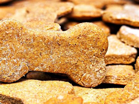 How To Legally Sell Homemade Dog Treats