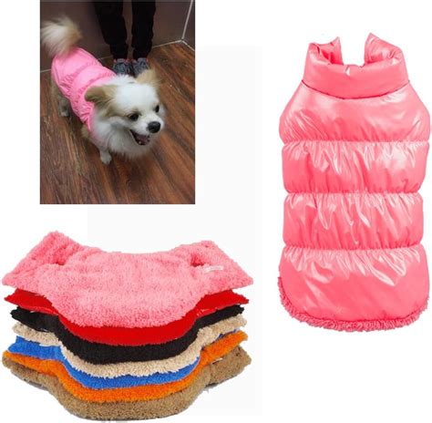 Las Mejores Prendas De Ropa Para Perros Y Gatos