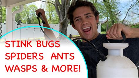 Diy Pest Control For Beginners Youtube