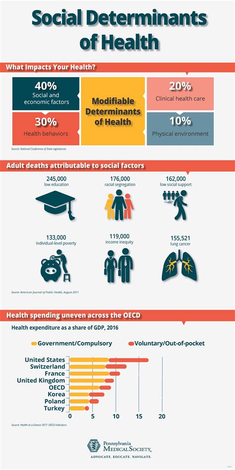 Social Determinants Of Health Infographic – NBKomputer