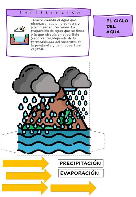 El Ciclo del Agua Para Niños