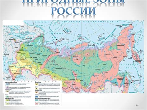 Зона арктических пустынь - online presentation