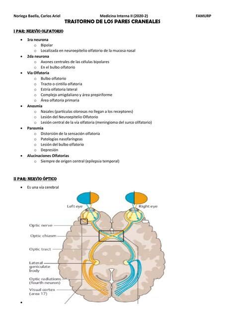 Trastorno De Los Pares Craneales Carlos Ariel Noriega Baella Udocz