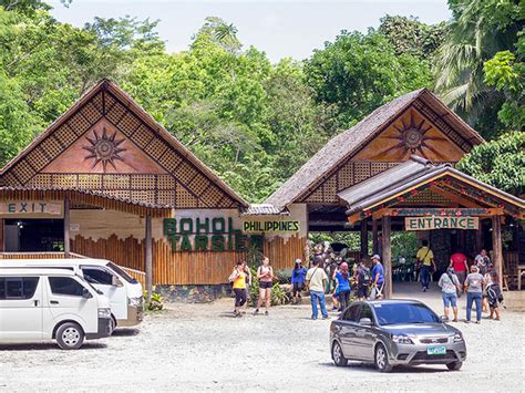 Bilar Bohol Tarsier Sanctuary: A Haven for Endangered Primates