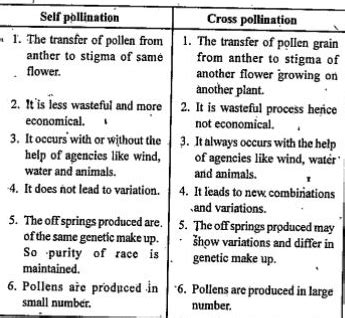 Doubt Solutions Maths Science Cbse Ncert Iit Jee Neet