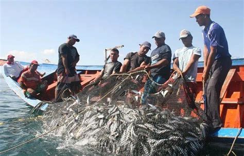 Transparencia En Manejo Pesquero Evitará Colapso De La Pesca Bayano