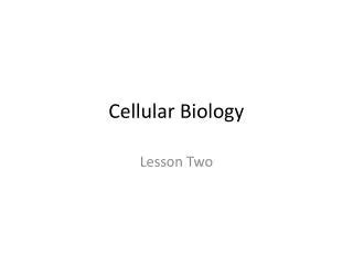 Ppt Altered Cellular And Tissue Biology Powerpoint Presentation Free