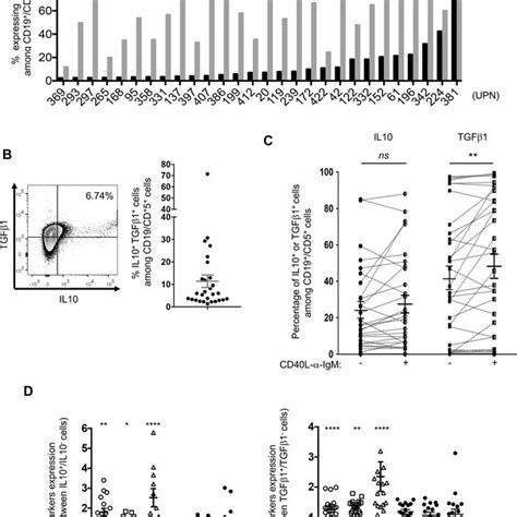 Cll B Cells Undertake A Regulatory Crosstalk With Their Immune