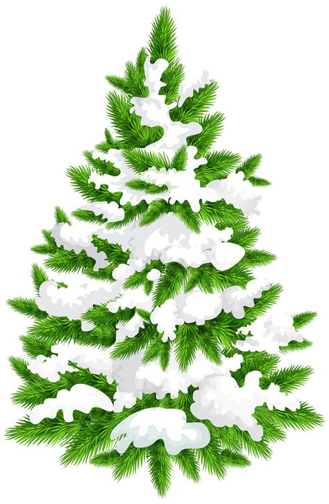 Snow Pine Tree Png HD PNG Pictures Vhv Rs