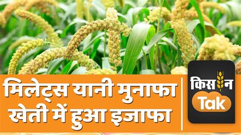 Millets Farming Bihar में बढ़ रही है मोटे अनाजों की खेती किसानों को