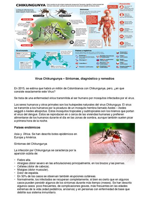 Chikungunya Virus S Ntomas Diagn Stico Y Tratamiento Speaker Deck