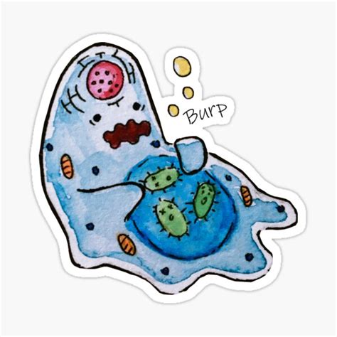 Stuffed Amoeba Sticker For Sale By Rachscribbles Redbubble