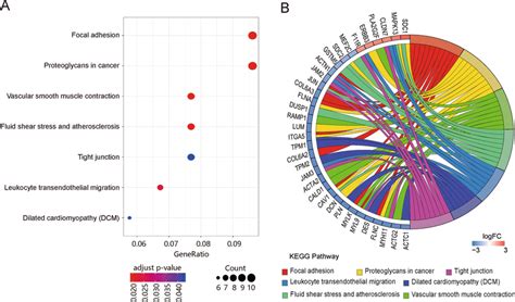 Kegg Pathway Enrichment Analysis For Degs A Bubble Plot Of