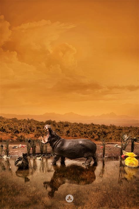 Invading Neighbors on Behance