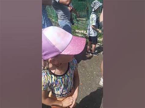 Лето #большеречье #зоопарк #отпуск #Омск - YouTube