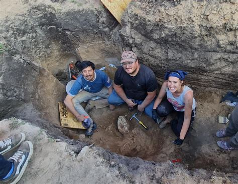 Asombroso hallazgo de los restos de un mamífero de la Era del Hielo