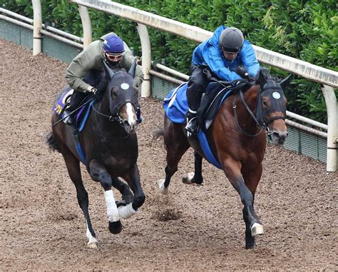 【安田記念】ソウルラッシュ 好時計で上昇気配、松山「体感以上に時計が出ている」― スポニチ Sponichi Annex ギャンブル