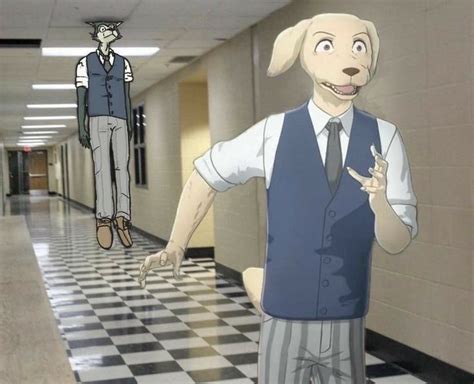 Cursed Beastars Post Неко Город Amino