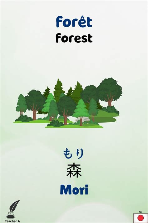 Foret Forest Mori Vocabulaire Japonais Cartes De No L Originales